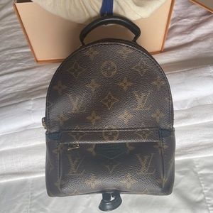 Louis Vuitton Palm Springs Mini
